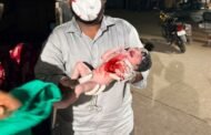 उल्हासनगरमध्ये रिक्षातच महिलेची प्रसूती
